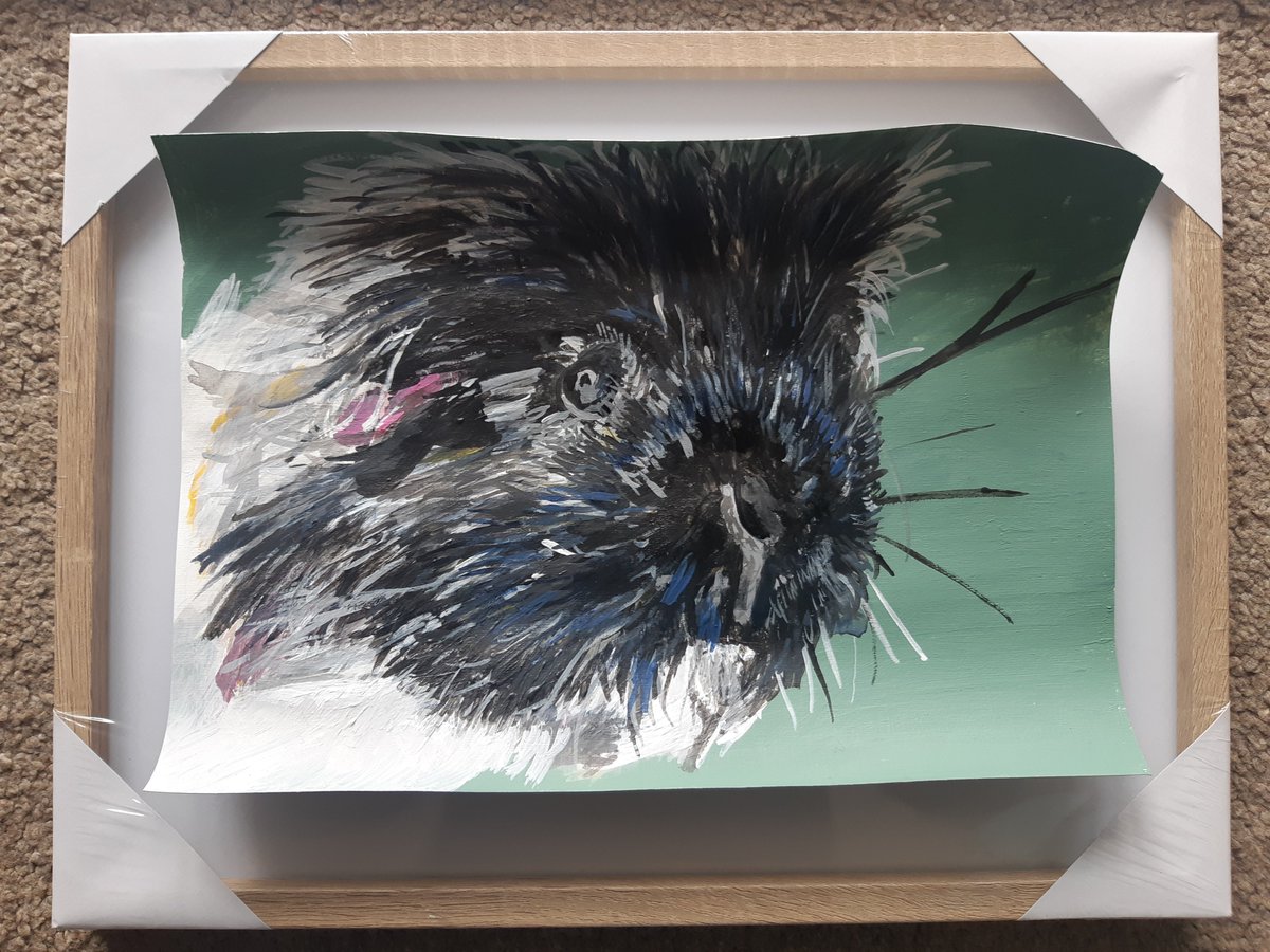 ColouredPet's tweet photo. I've just received a new stock of wooden frames and i'm trying out Marshmallow before the portrait goes in. 😄 This looks perfect. 

🔗https://t.co/zoUVUIK8Vb #petportraitpainting #petportraitsacrylicpainting https://t.co/ZyMjF6ZDb1