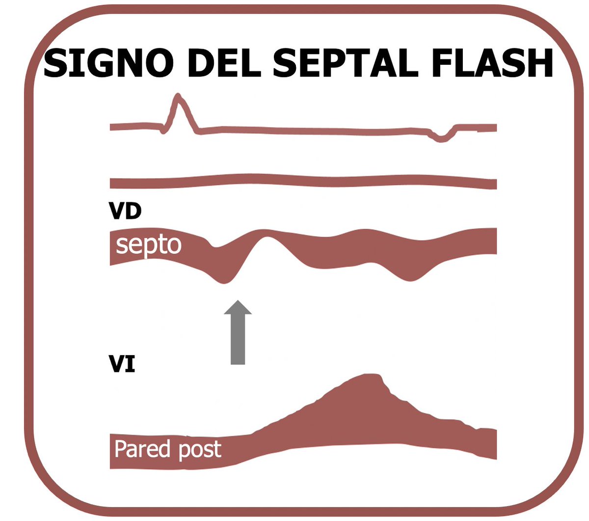 MA Garcia Fernandez tweet media