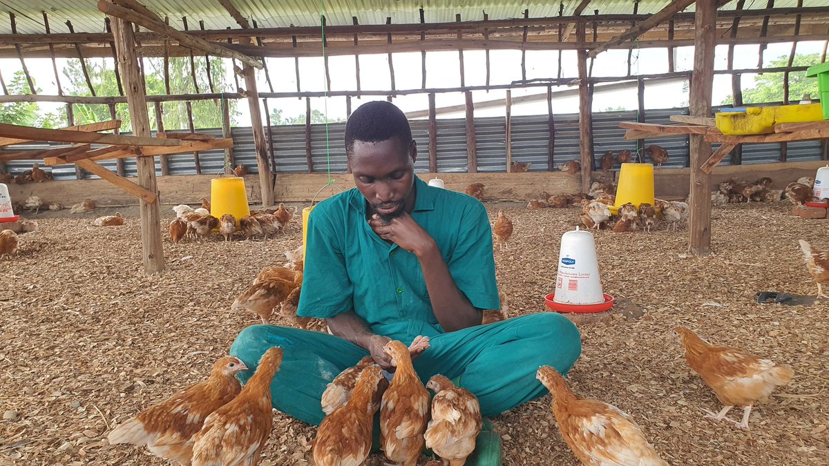 I've learnt many lessons in my years of doing business.  
One has been taught to me by farming; it's called ENDURANCE!
Did you know that only 10% of start up businesses make it to 5 years?!

Now that's a crazy stat, but I've found out the a huge percentage of that fail simply due