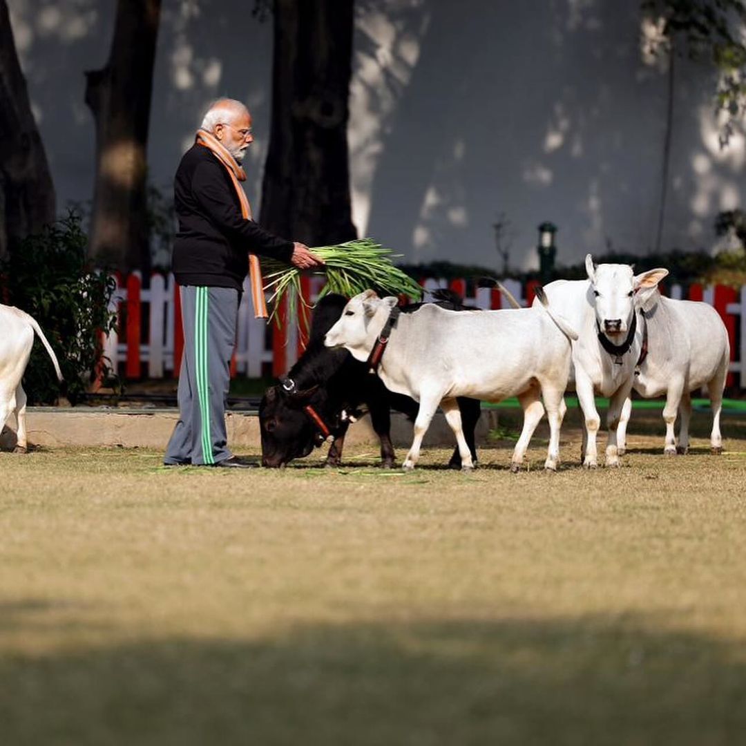 narendrakumar4u's tweet photo. उत्तरायण पर्व के शुभ अवसर पर आदरणीय श्री @narendramodi जी गौसेवा करते हुए.. #जयगौमाता 🙏🙏

@PMOIndia
#modikiguarantee #gauseva #gausevak #modikipathshala #gaumata #gaumatakijaiho #modihaitomumkinhai #phirekbaarmodisarkar #namoagain #namoagainmission2024 #namoagain2024 #missionmodi2024 #modiforindia #modifor2024 #namoagainnamo #narendramodifan #hindufestival #makarsankrant #makarsankrantistatus #uttrayan #makarsankrati #modi4pm2024 #namoagain #modisarkar