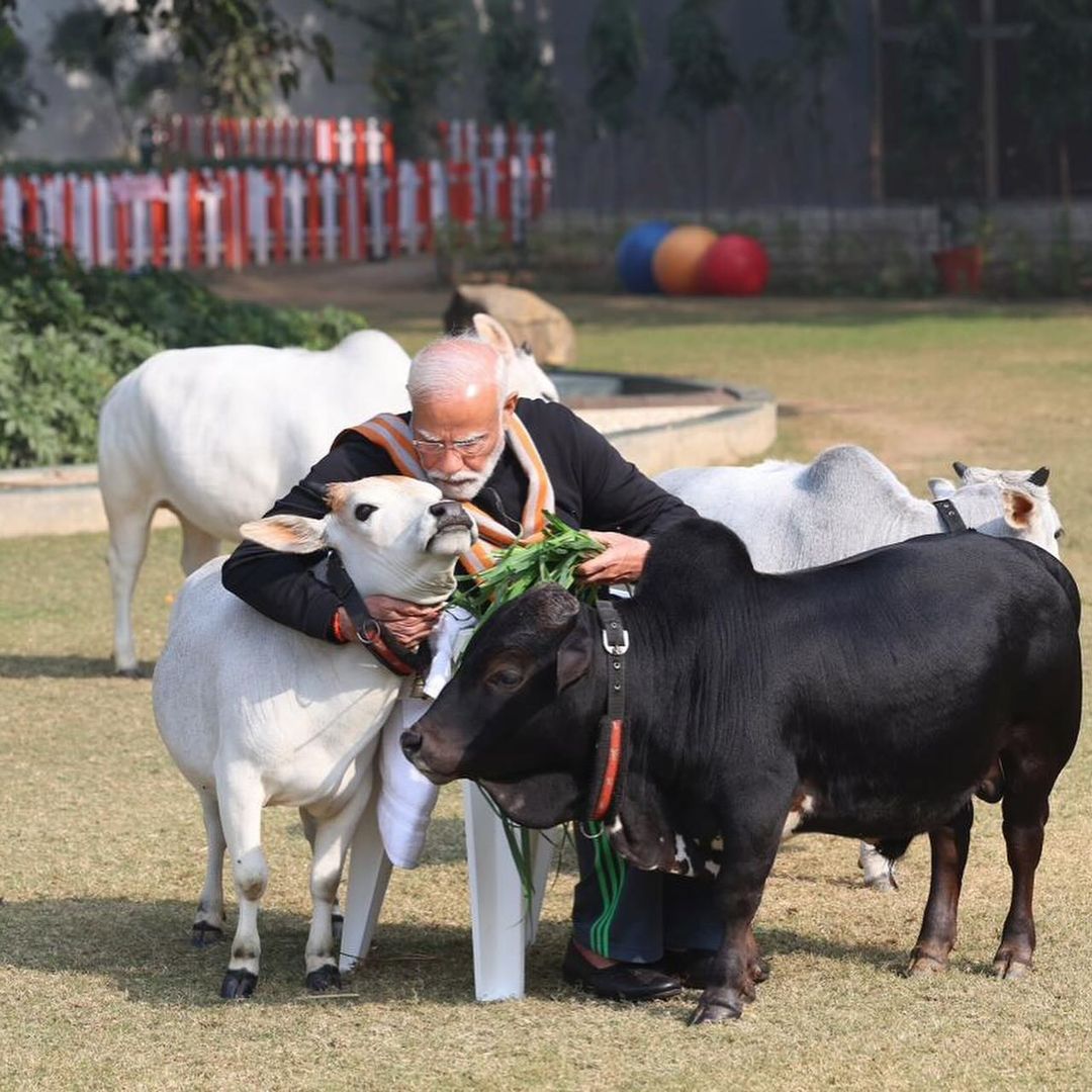 narendrakumar4u's tweet photo. उत्तरायण पर्व के शुभ अवसर पर आदरणीय श्री @narendramodi जी गौसेवा करते हुए.. #जयगौमाता 🙏🙏

@PMOIndia
#modikiguarantee #gauseva #gausevak #modikipathshala #gaumata #gaumatakijaiho #modihaitomumkinhai #phirekbaarmodisarkar #namoagain #namoagainmission2024 #namoagain2024 #missionmodi2024 #modiforindia #modifor2024 #namoagainnamo #narendramodifan #hindufestival #makarsankrant #makarsankrantistatus #uttrayan #makarsankrati #modi4pm2024 #namoagain #modisarkar