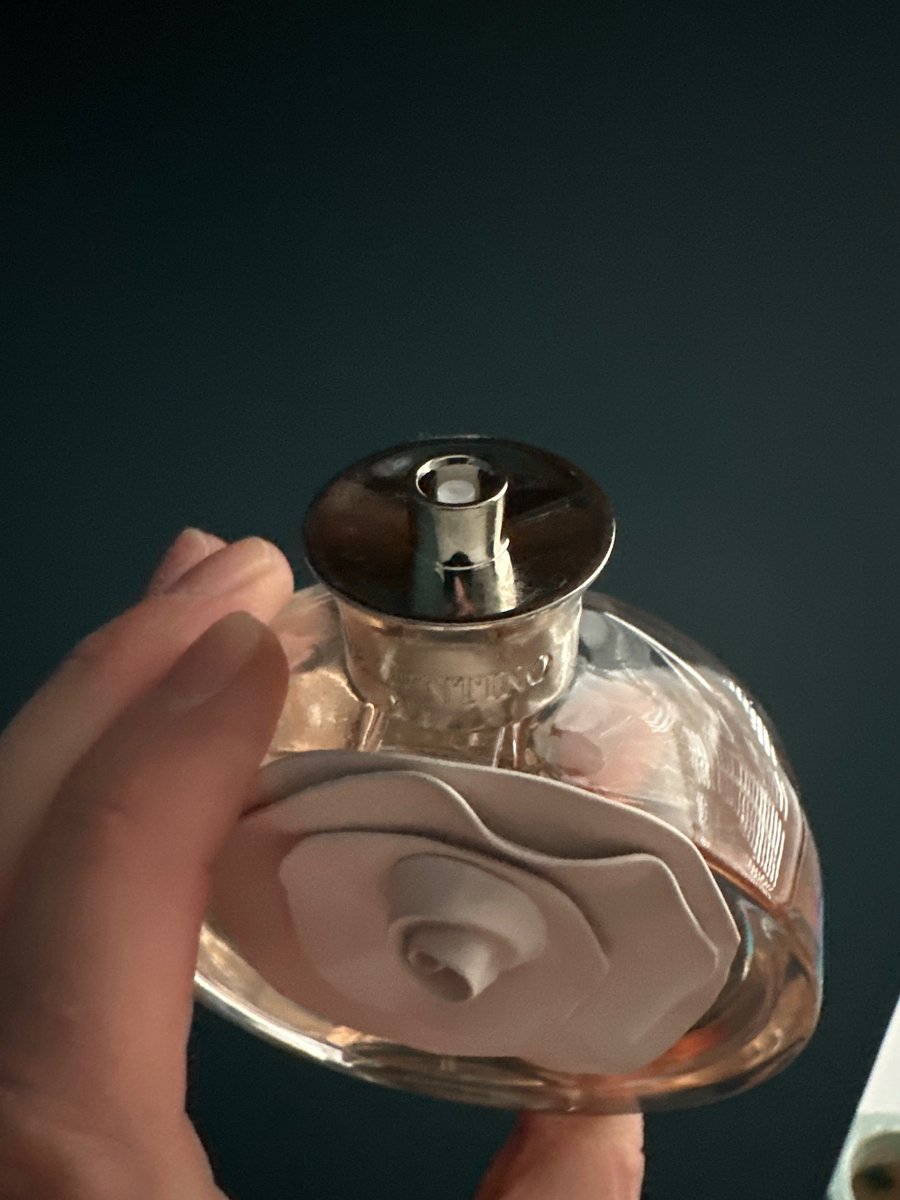 Georgina Mercy-Shields tweet media