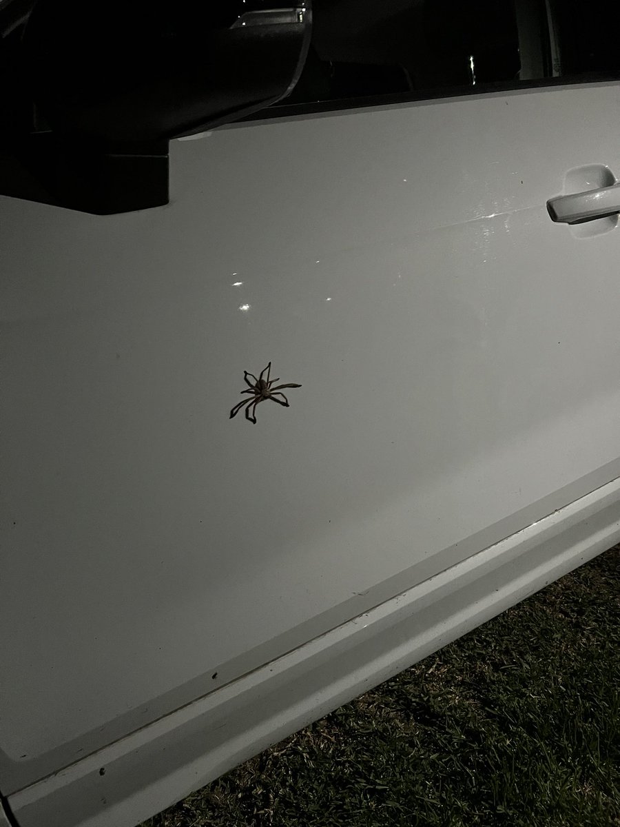 Pizzini Wines tweet media