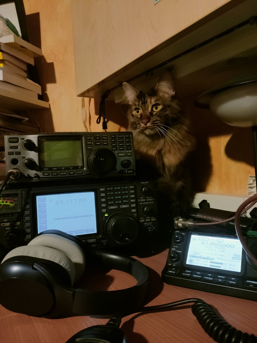 F4EED's tweet photo. A #cat in the #schack ... #maincoon #hamradio #radioamateur https://t.co/dYTHt9VNAX