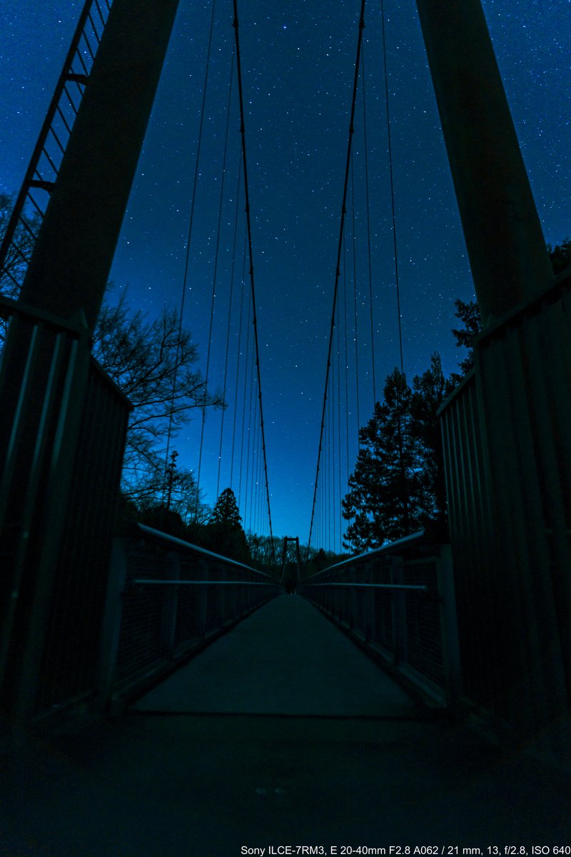 えどちよ@3/22a公式📸 tweet media