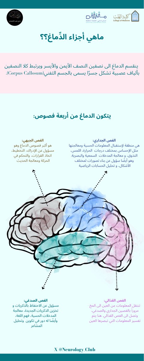 Neurology_Club's tweet photo. https://t.co/eOULTEtcqy