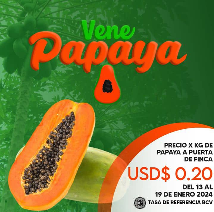 campocafeciudad's tweet photo. Precio sugerido por kilogramo de Papaya a puerta de finca para el período del 13 al 19 de enero de 2024
Fuente: VENEPAPAYA @venepapaya
#Venezuela #Agricultura #Papaya #Precio #Venepapaya #AgroEconomía #CampoCafeCiudad https://t.co/LGGy809xPS