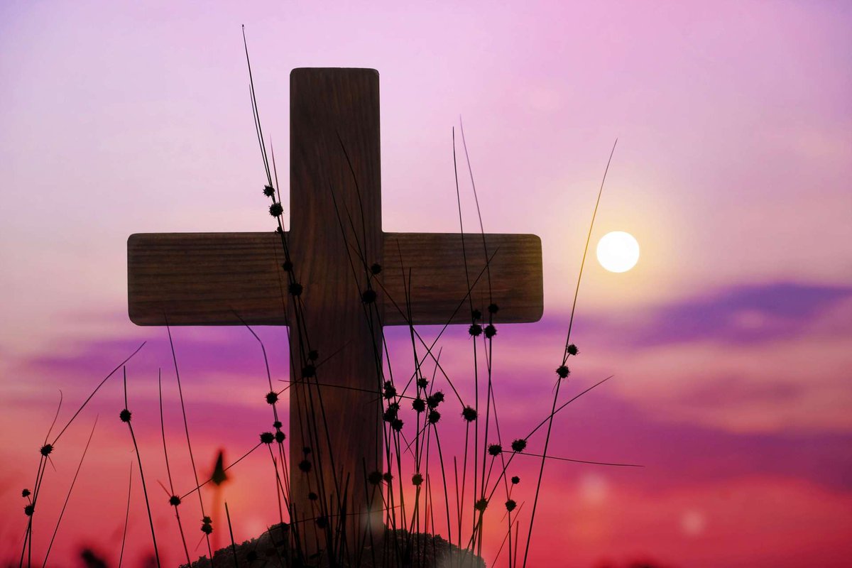 Save Funeral Costs tweet media