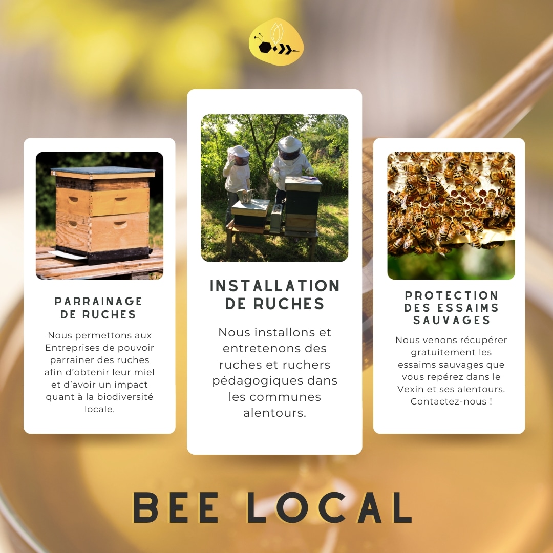 Nos Services 🐝🍯✌️

Disponible dès maintenant dans le Vexin (95) et ses alentours, plus d'infos sur notre site internet (lien en bio)

#abeille #apiculture #permaculture #france #madeinfrance #local #miel #ecologie #bio