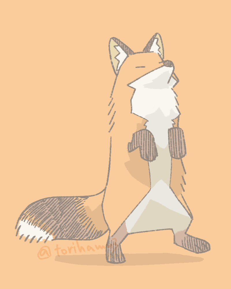 「たぬきとかきつねとか 」|とりはむのイラスト