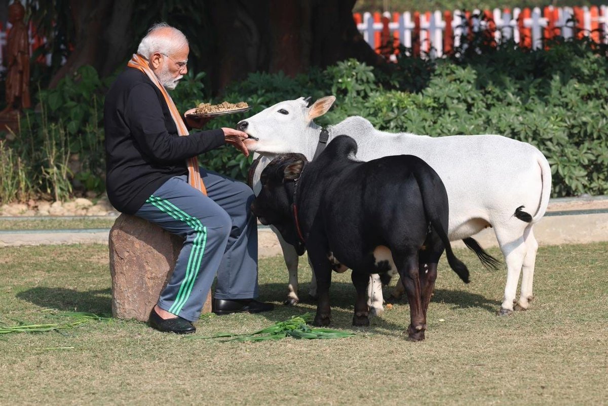 Delhi | Prime Minister Narendra Modi  feeds cows at his residence, on the occasion of
 #makarsankranti2024
#makarsakranti 
#MakarSankrati