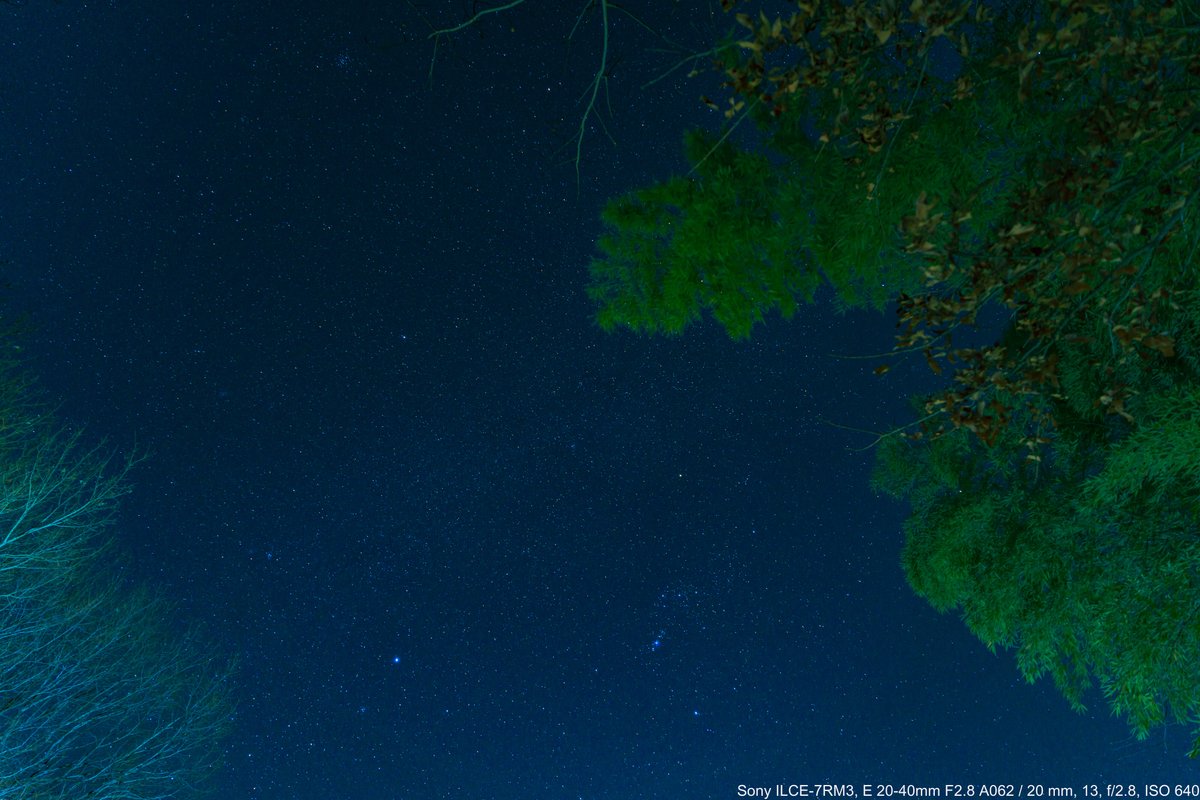 えどちよ@3/22a公式📸 tweet media