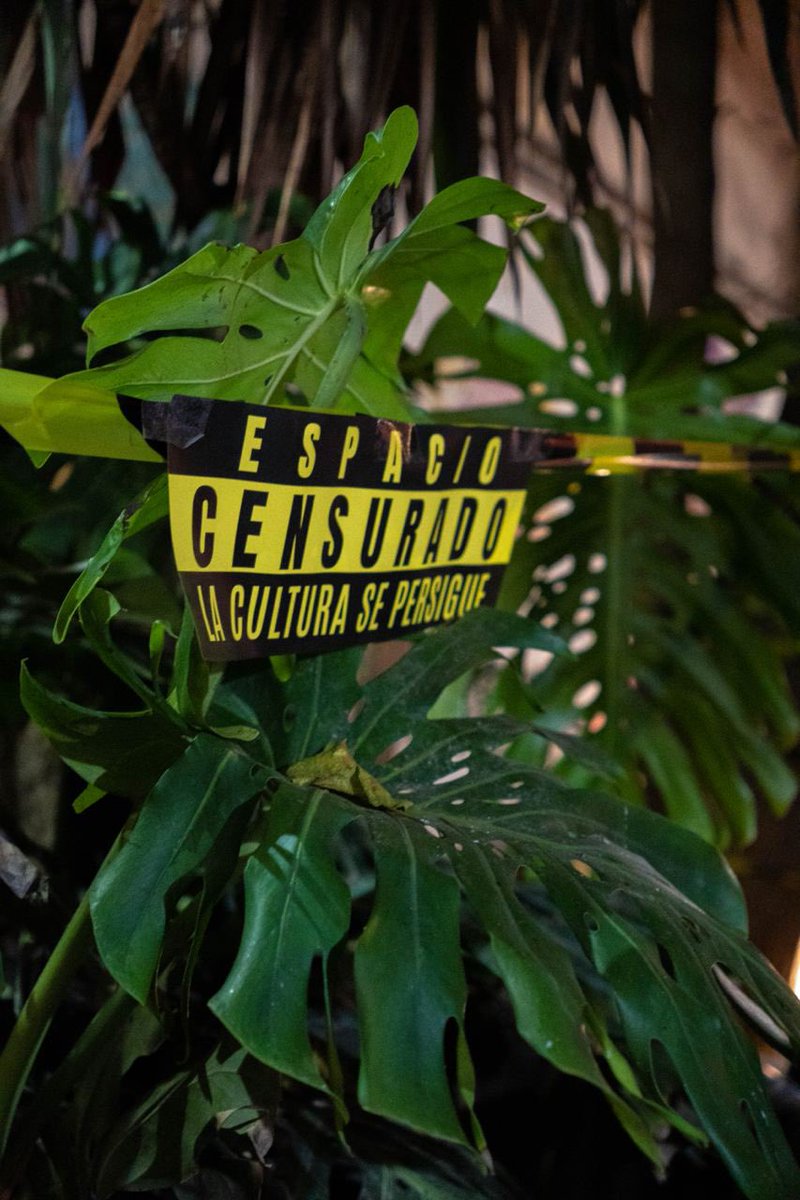 El patio de <a href="/LaCasaInvisible/">La Invisible</a> amaneció así: