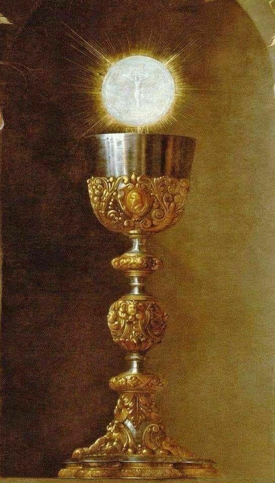 'Oh, how sweet a joy it is to remain with faith and tender devotion before the Eucharist, and converse familiarly with Jesus Christ, who is there for the express purpose of listening to and graciously hearing those who pray to him.'
~St.Alphonsus Maria de Liguori 

#HolyEucharist