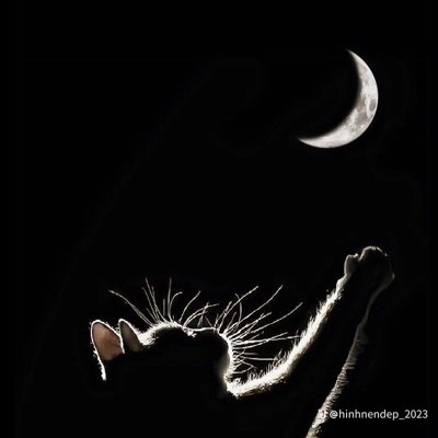 HomeRide's tweet image. #ẢnhHồsơMới