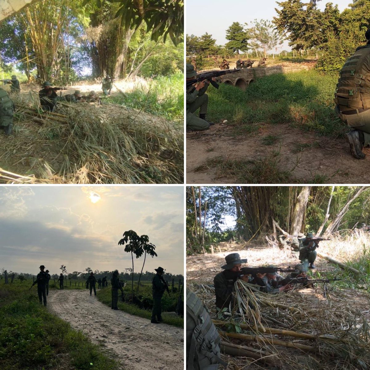 GJ. Domingo Hernández Lárez tweet media