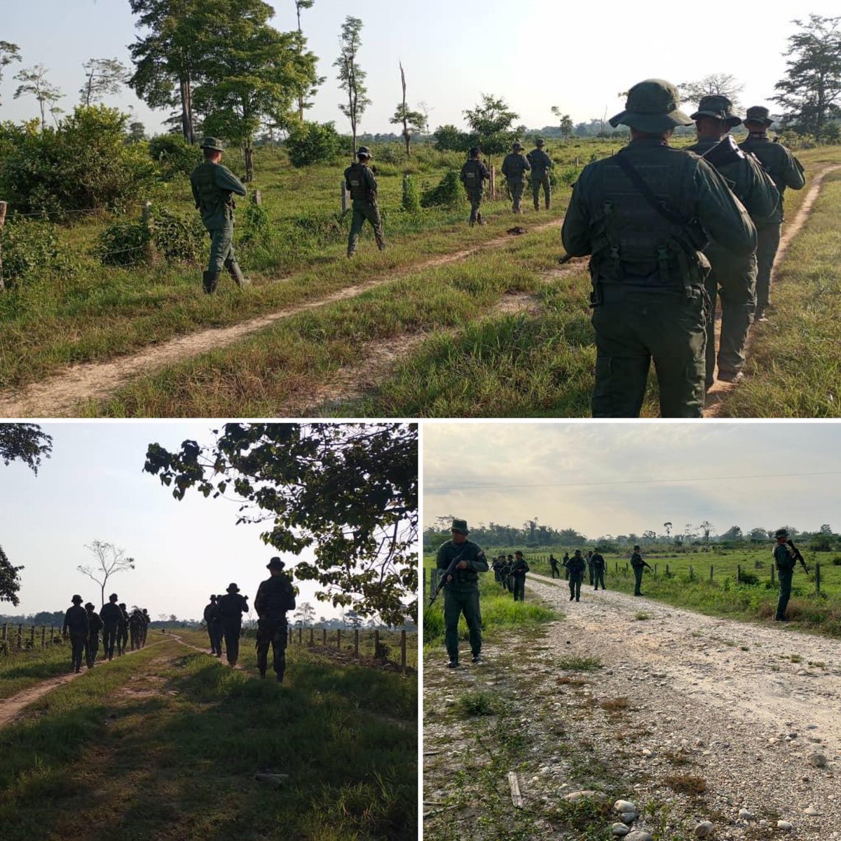 GJ. Domingo Hernández Lárez tweet media