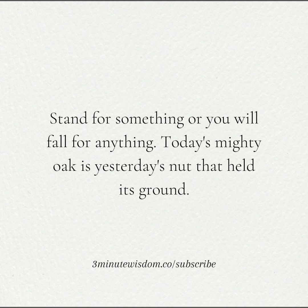 3minutewisdom's tweet photo. Be steadfast, be resilient! 🌳 'Stand for something or you will fall for anything. Today's mighty oak is yesterday's nut that held its ground.' Hold your ground, you're growing stronger! #Resilience #Growth #InspirationalQuotes https://t.co/c1JXdeTAJ0