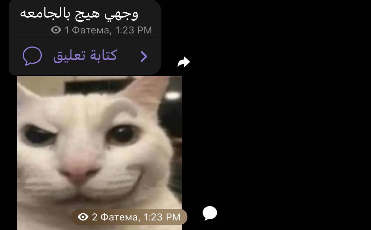 Фатема (@fatmmyahia) on Twitter photo 