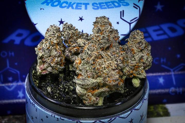 RocketSeeds tweet media