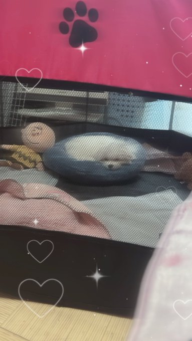 Twitterのコスプレ画像10