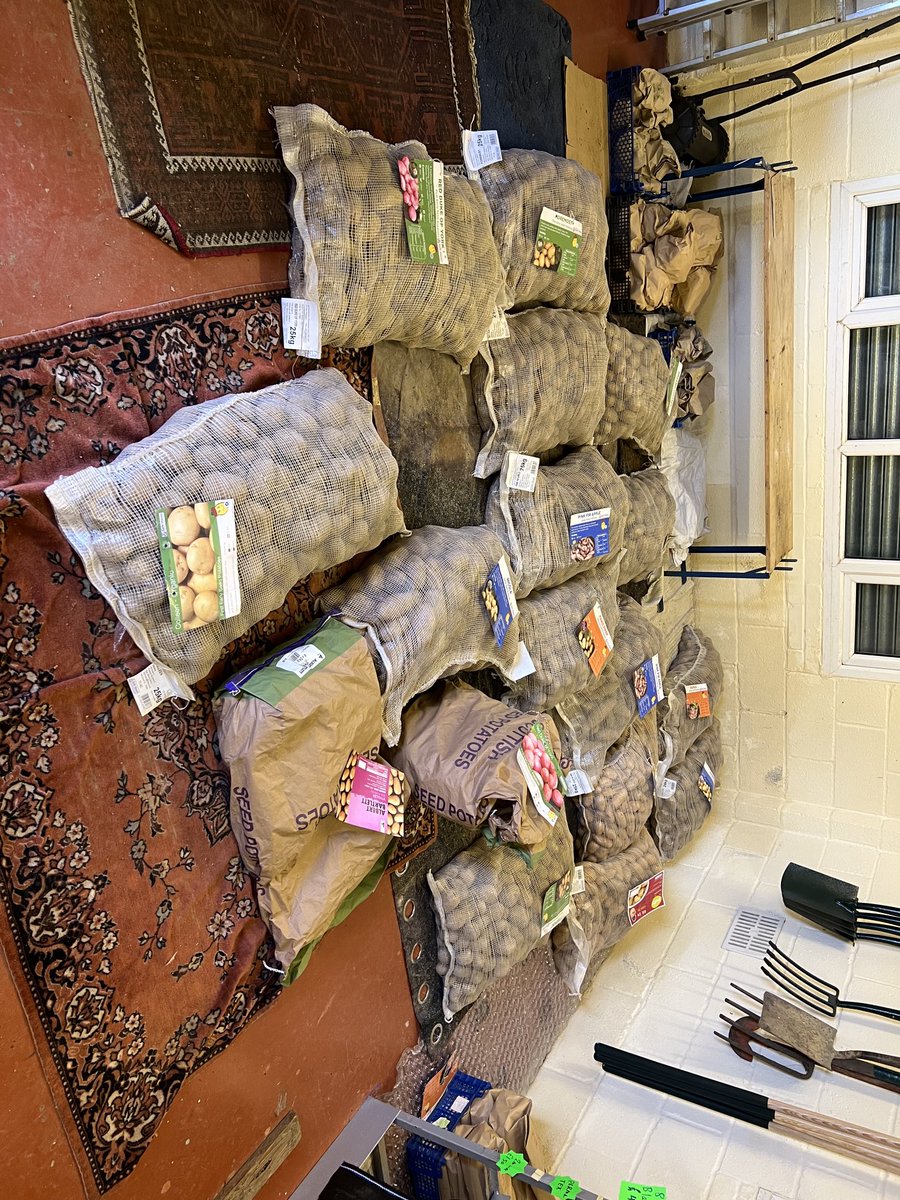 Getting ready for Potato day