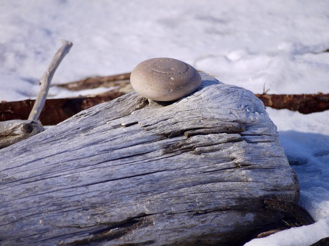 stan_sdcollins's tweet photo. Hum, was somebody here before me? How did that stone manage to get up on the end of this log lying on the beach I wonder? https://t.co/QtPJXmplGQ
