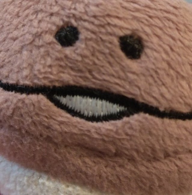 #見切れるほどドアップの画像くれ
んふんふ～