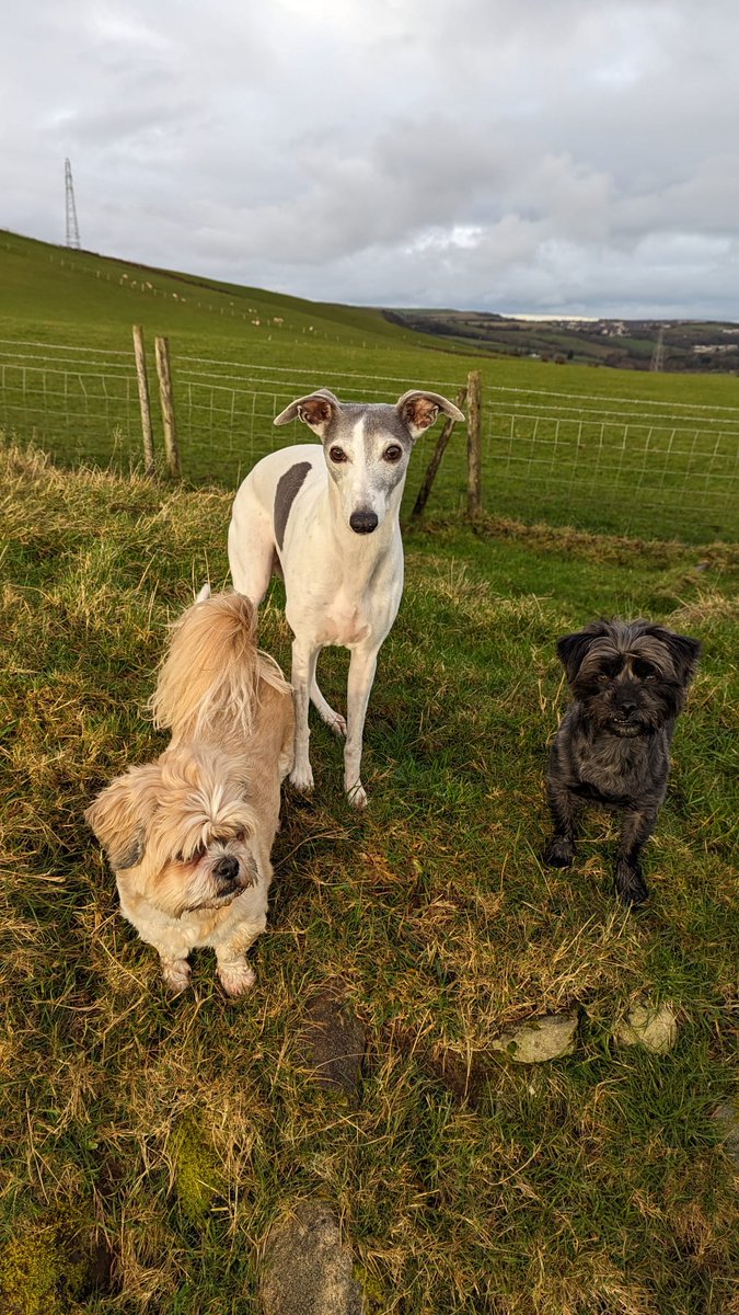 🍓SalBerry 🍓 tweet media