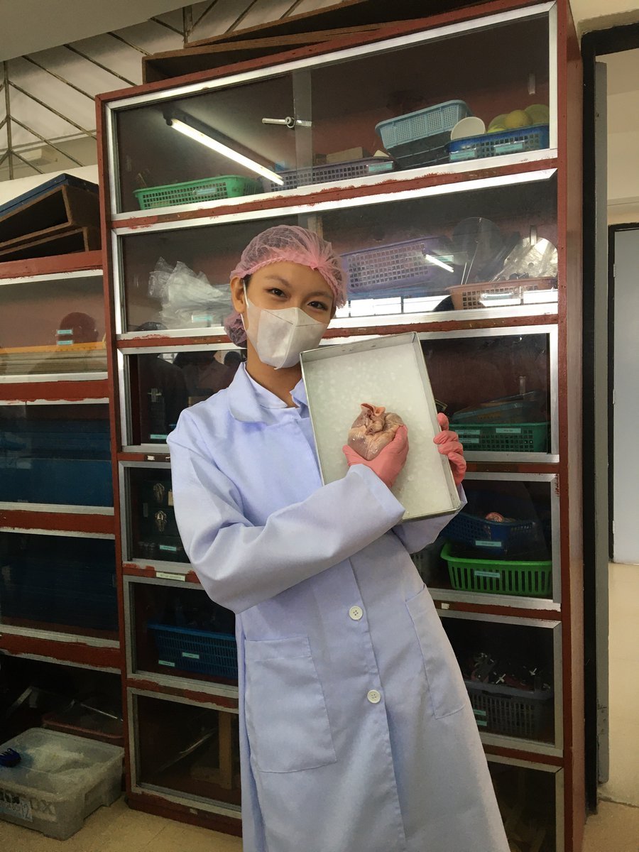 aclvsh's tweet photo. ׂׂૢ lab day : pig's heart dissection 🥼🫀🖇 ༘♡ ⋆｡˚ https://t.co/gBAmlFJq94