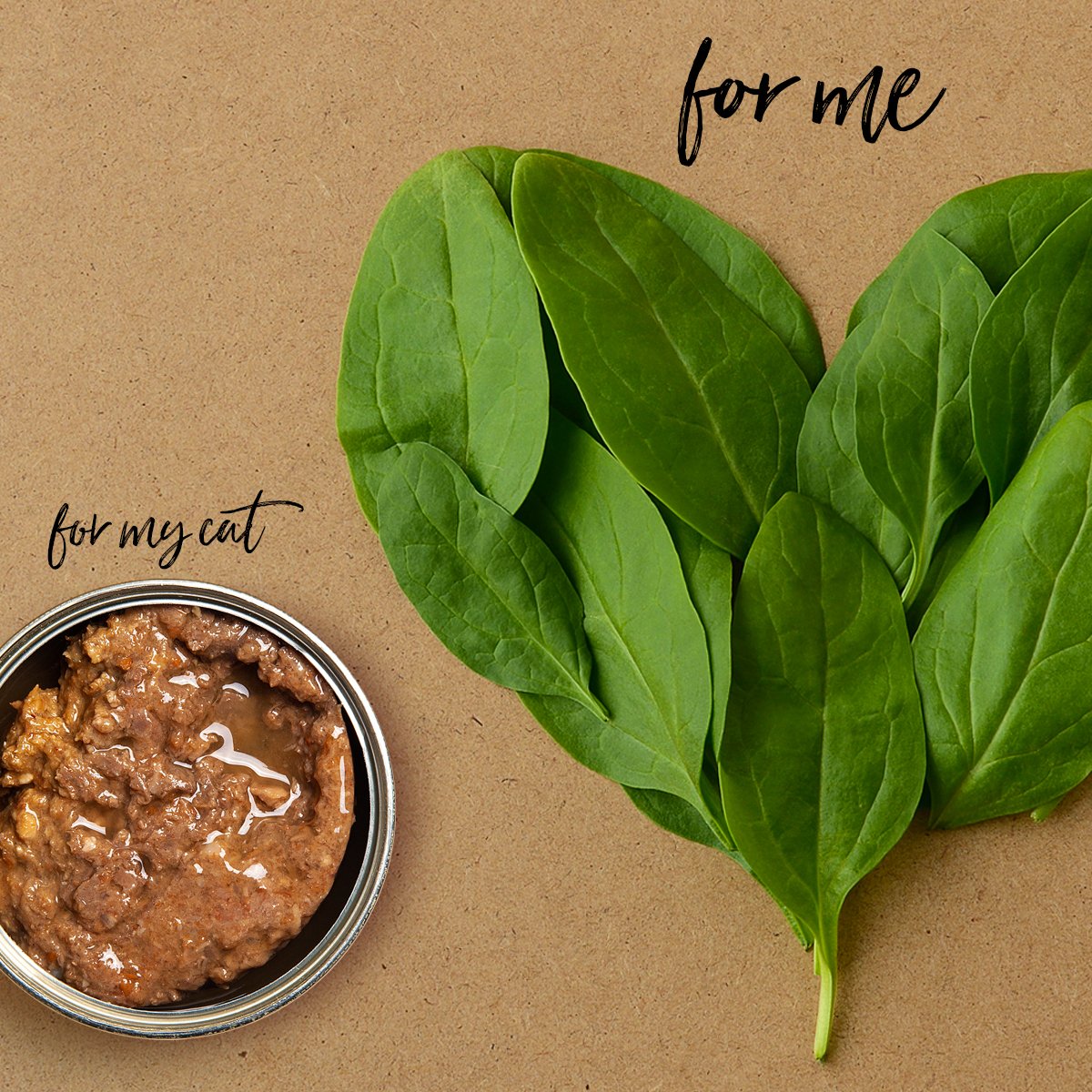 3cotyCom's tweet image. What are your health resolutions for 2024? #vegenaury. Are you taking January to reset your dietary habits and swap foods which are less healthy for options which promote health? #meatonlycatfood What about your cat's diet? Read our latest newsletter: blog.3coty.com/en/food-for-a-…