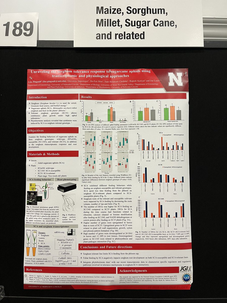 lise pingault tweet media