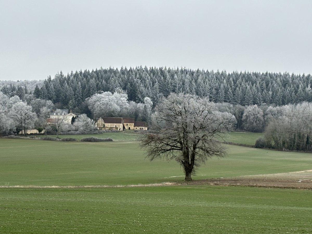bouche_nicolas's tweet photo. Home sweet home #orne #leperche https://t.co/DvDhS2ydaH