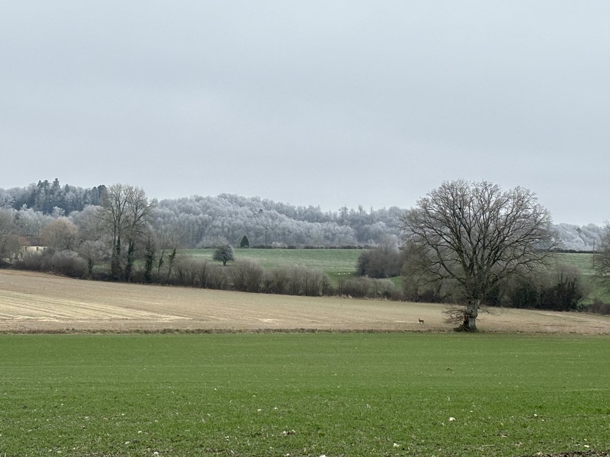 bouche_nicolas's tweet photo. Home sweet home #orne #leperche https://t.co/DvDhS2ydaH