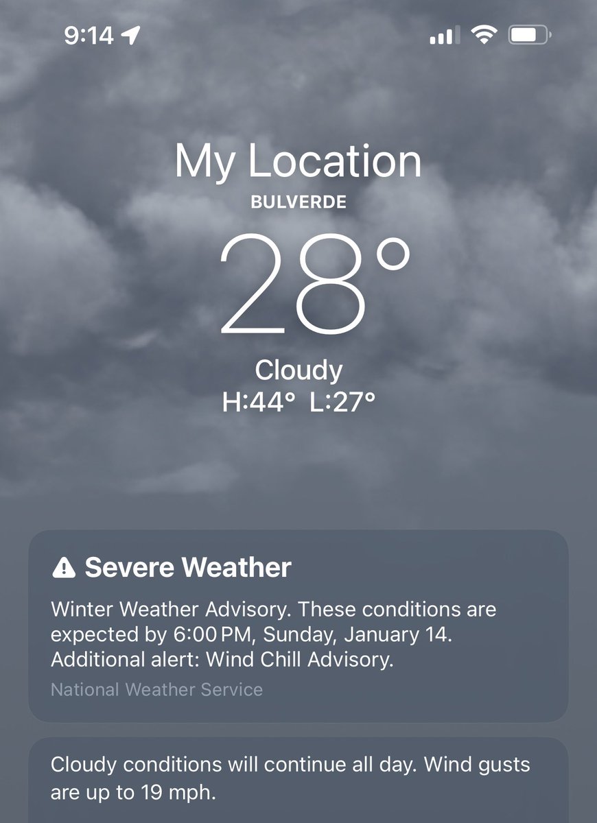 czr311's tweet photo. On G this is the coldest I’ve ever been taking Buckley for a walk, turned right around and said “nope” not even Big Bear was this cold lol https://t.co/cdhNrYzkqW