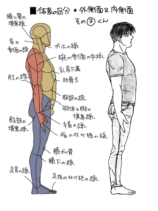 境界線とかあんまり意識してなかった~💦  #100日ポーズ練習