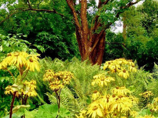 Vita Sackville-West tweet media