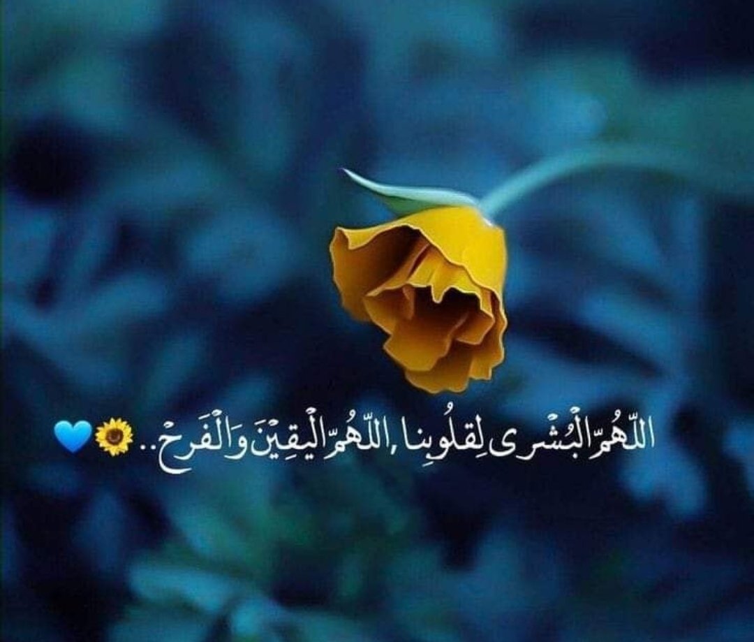 PhBeeba's tweet photo. سلطاننا
ابنائك خريجي الصيدله يناشدون من اجل مطلبهم وهو التوظيف
يارب الفرج القريب العاجل لخريجي الصيدله
التوظيف مطلبنا
@dralsabti
@OmaniMOH
@al_wisal
@Labour_OMAN 
#خريجي_الصيدله_يناشدون_السلطان٢ #ظلم_توظيف_خريجي_الصيدله٢ https://t.co/hNWNIpWniG