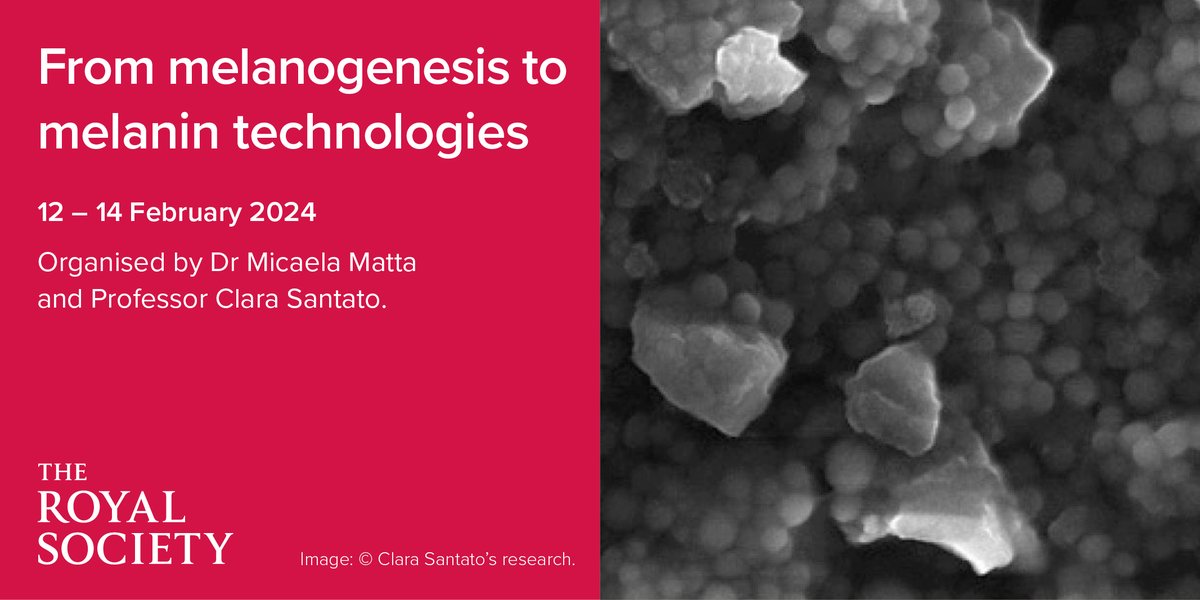 royalsociety's tweet image. Do you have a research interest in melanogenesis and melanin technologies?
Join our upcoming residential scientific meeting in Eastbourne from 12-14 February:
 royalsociety.org/science-events…
