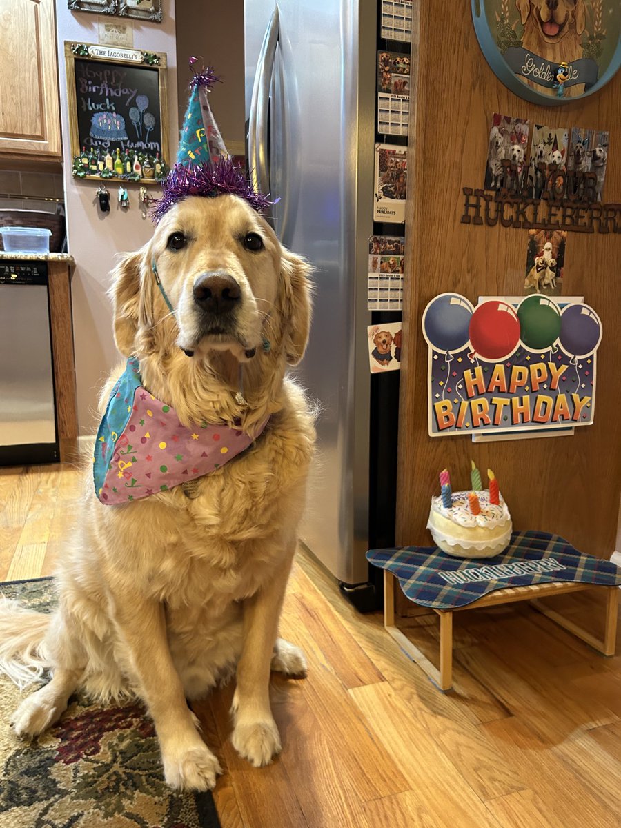 Today’s my Birthday 🎂. Huckleberry is 8 years old 🎉🎉