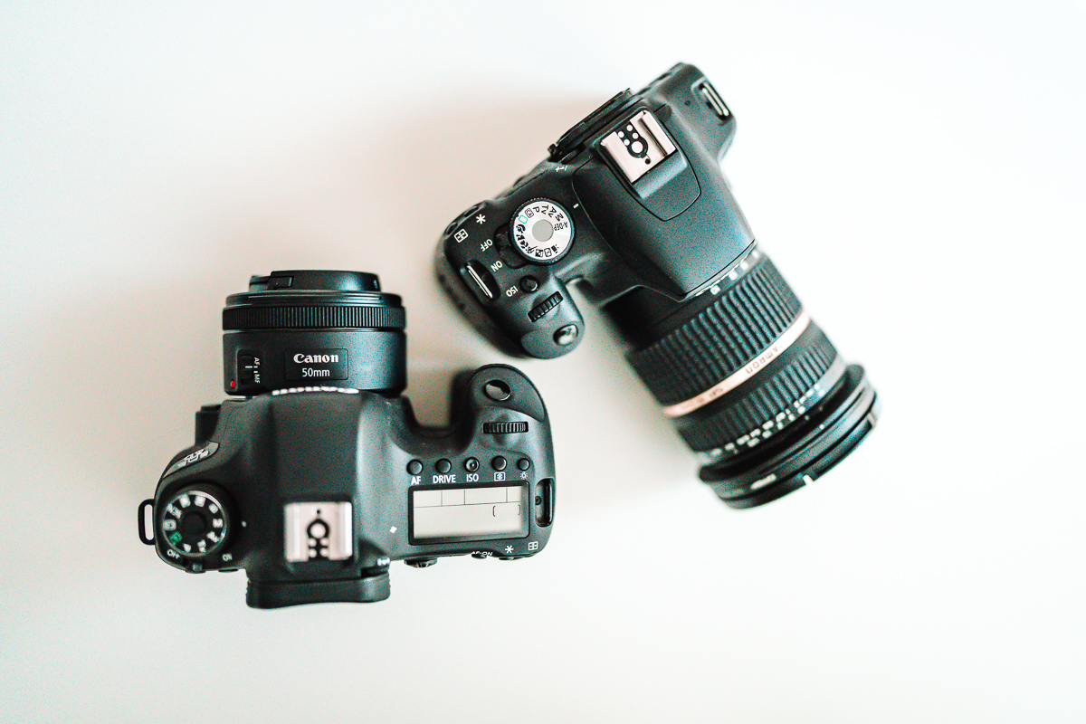coastalcaptures's tweet photo. Q: Should I buy a Canon Rebel camera? That answer used to be easy… now it’s much more complicated. As part of a “best cameras for beginners” series I’m writing, I dedicated an entire post to Canon Rebel cameras. #photography #cameras #learnphotography
https://t.co/lLM144Gysz https://t.co/QPFfzpm9E7