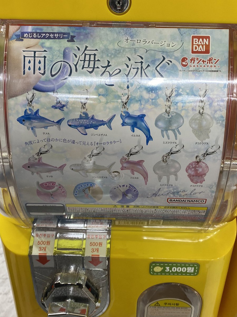 66rokuu's tweet photo. クラゲ欲しくて5回したのに出なかったから次給料貰ったら全財産かけてクラゲ取りに行く https://t.co/8LQPScBOCy