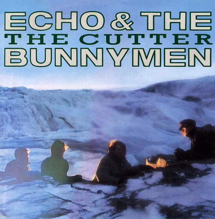 DjaneAngels's tweet photo. Hoy este sencillo cumple 41 años…
#Música #Music #Musique #EchoAndTheBunnymen #TheCutter https://t.co/b3QCQSpLFQ