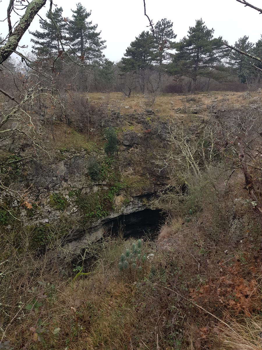 Nicola_Bressi's tweet photo. Chi trascorre infanzia e adolescenza sul Carso Triestino, cresce con la consapevolezza che la natura  è meravigliosa, ma non sempre benigna.
Voragini, inghiottitoi, baratri, abissi... si aprono improvvisi.
E possono essere ovunque.
Grande insegnamento di rispetto e attenzione. https://t.co/vIfzHWmJ4O
