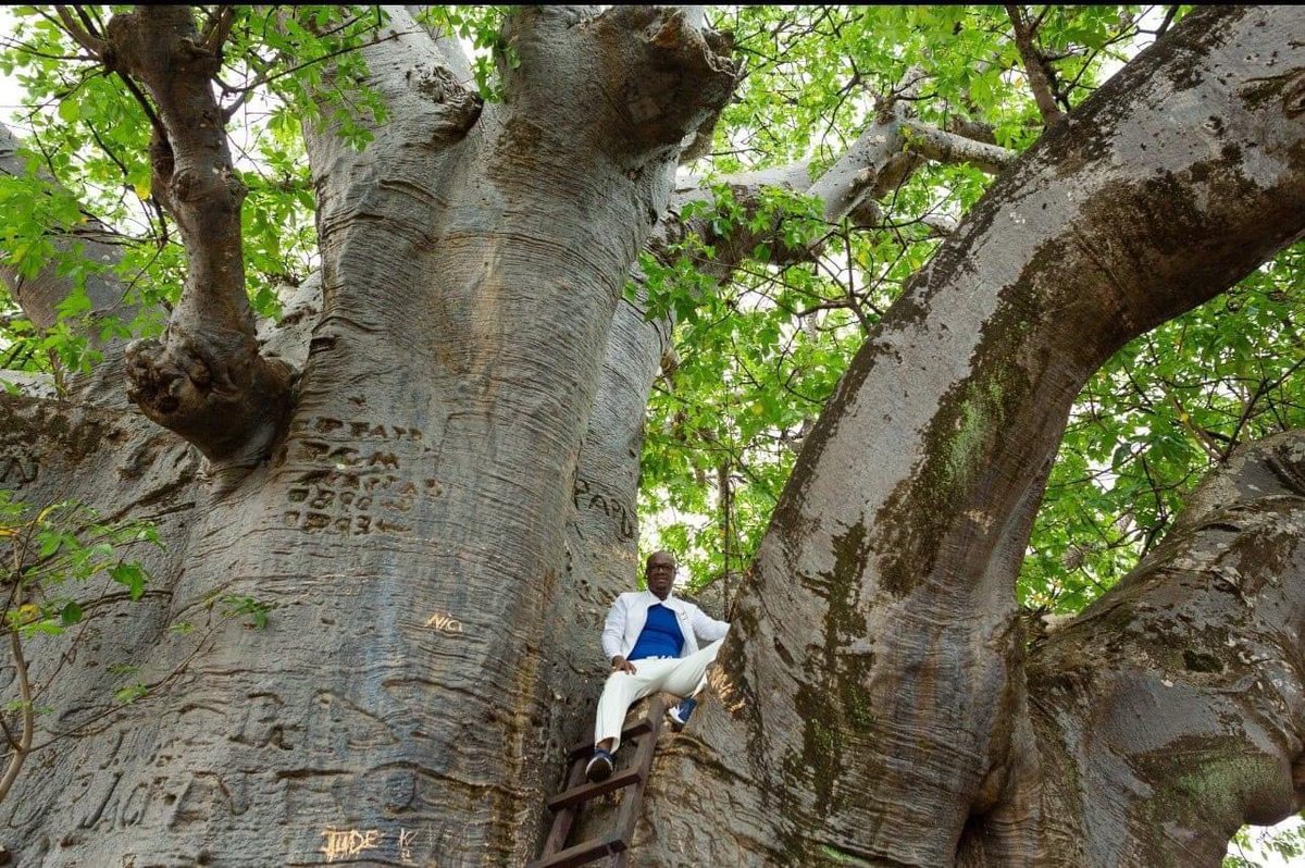 AMINATA OEIL DU CHEF tweet media