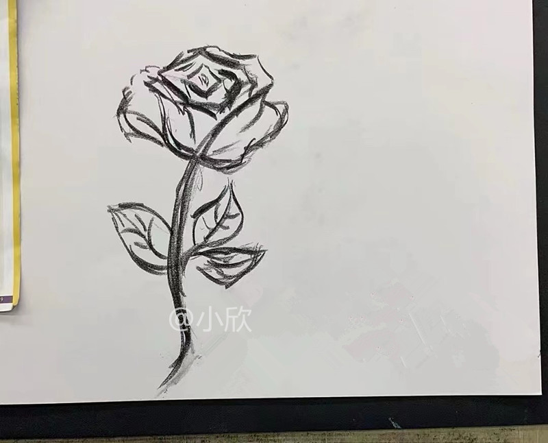 給自己畫一朵玫瑰花
不錯吧~ 快夸誇我🤭 https://t.co/fSwcsig4q0