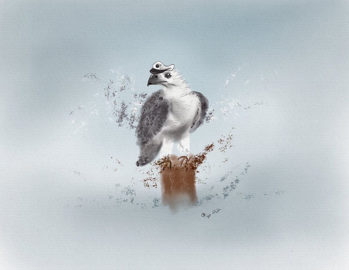 @Coastalbirder Happy #SuperSeabirdSunday Everyone! Thank you for the tag Elaine @Coastalbirder ! Your Puffin is stunning!! ❤️🐧👏.. I thought I would start out with my #SeaEagle for today. <a href="/ksneathart/">Art by Kirsten Sneath</a> and <a href="/artyreg77/">Art by Ruth</a> please share some of your Seabird Art if you would like. #seabirds #birds