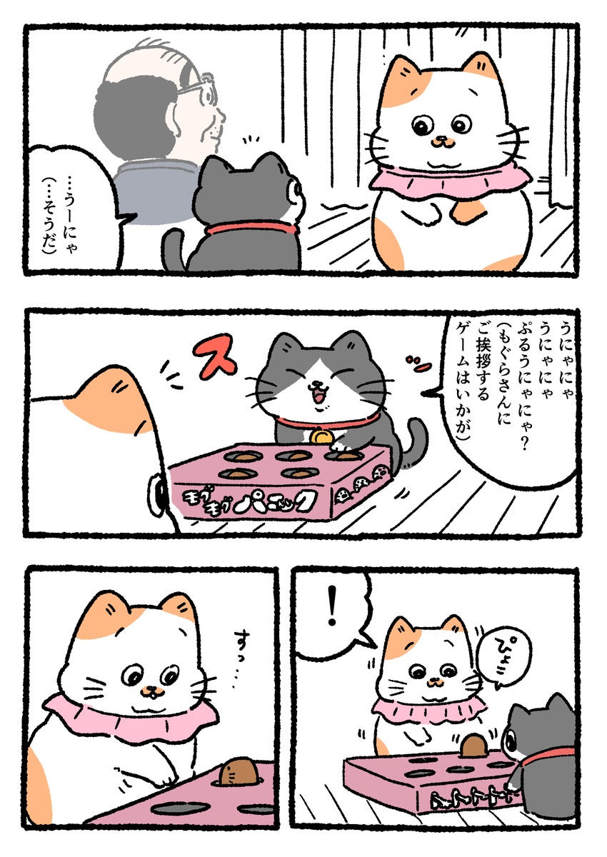 ねこに転生したおじさん。その344 ※なぜか画像3枚あります