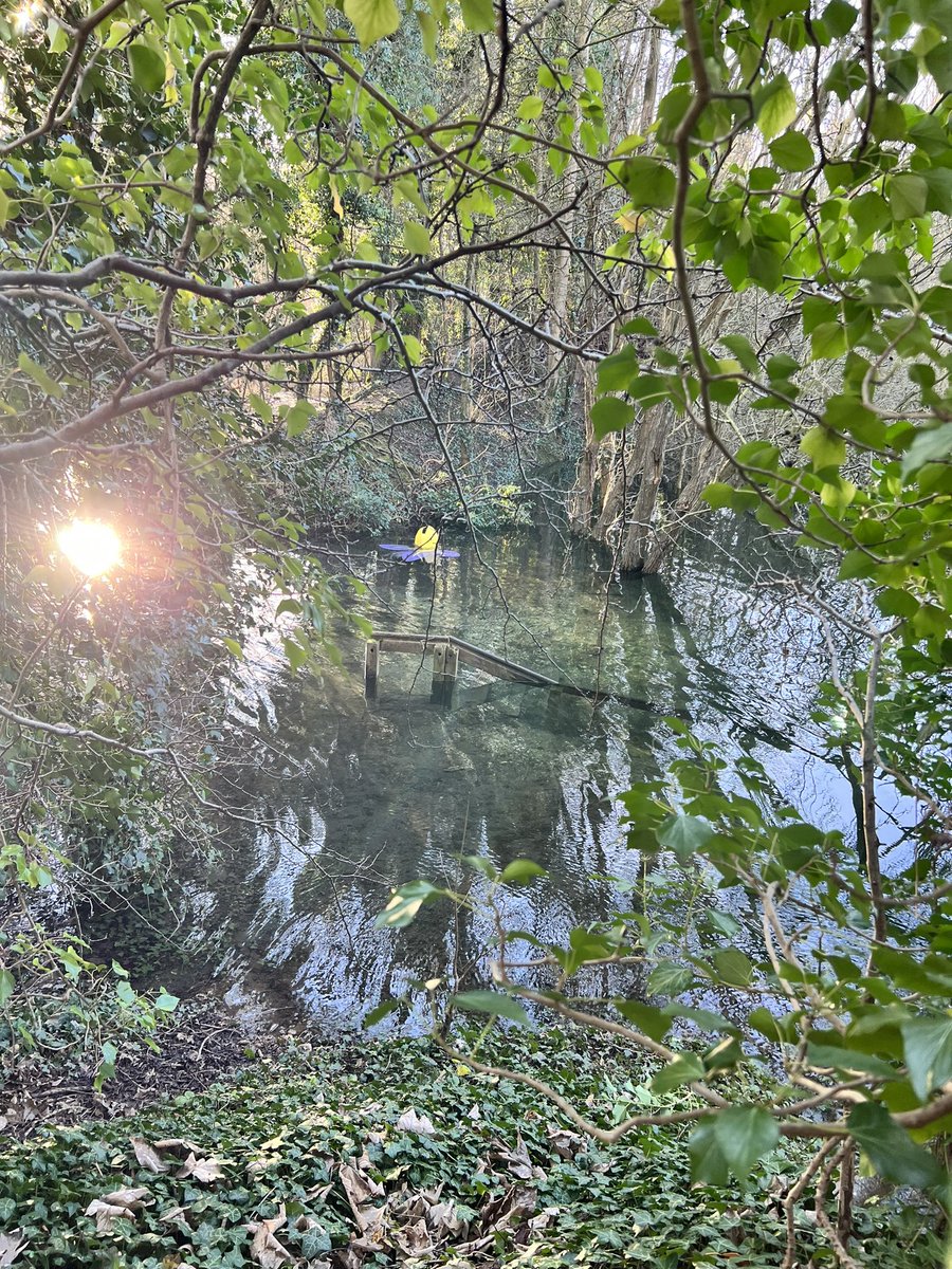 Jennifer Gilmour 💜🦋🏳️🌈 tweet media