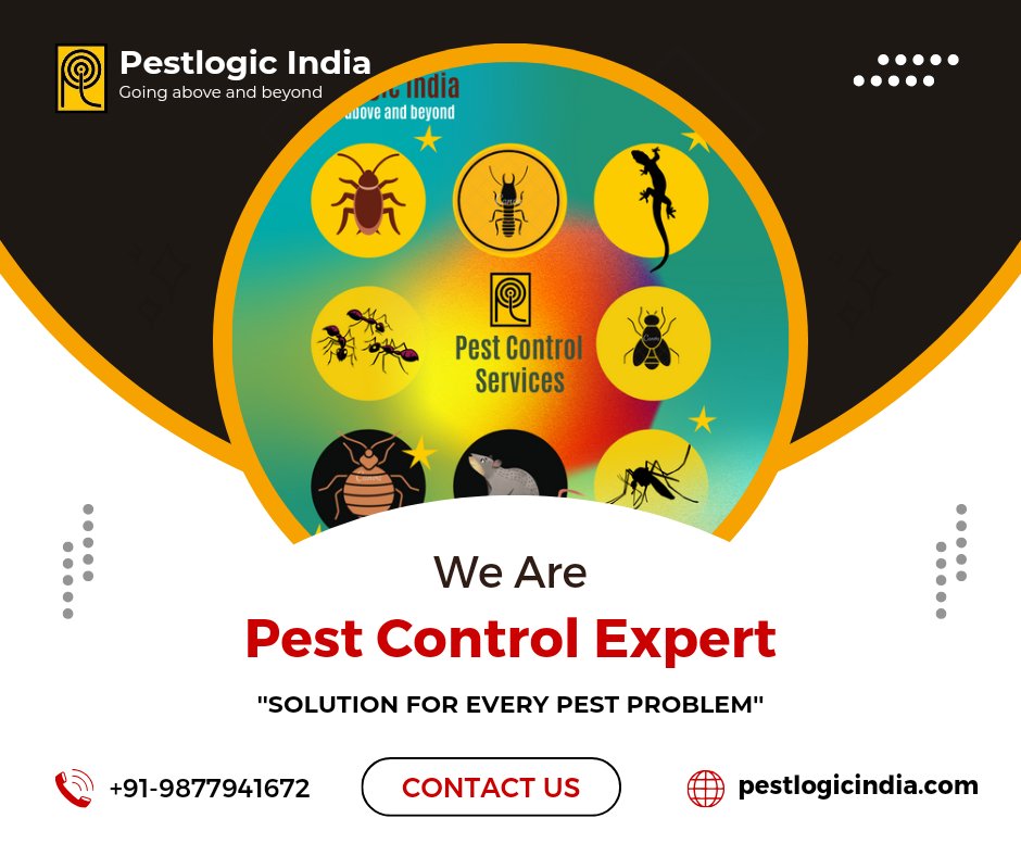 PestlogicI's tweet photo. Cockroach free Kitchen...

#cockroachfreekitechen #pestlogicindia #pest #pestcontrolservices. https://t.co/GZPlS3FFAS